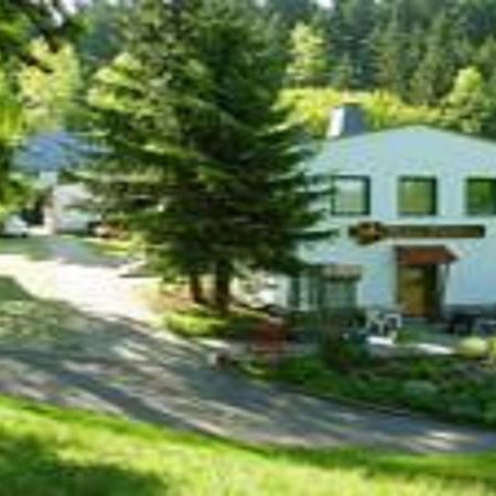 Pension Waldidyll Stützerbach 외부 사진
