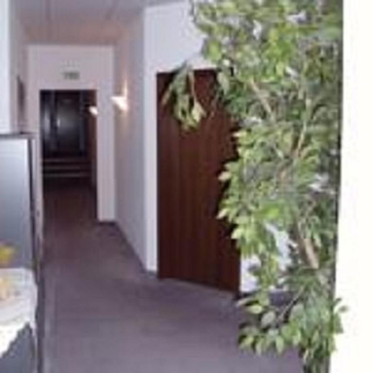 Pension Waldidyll Stützerbach 외부 사진
