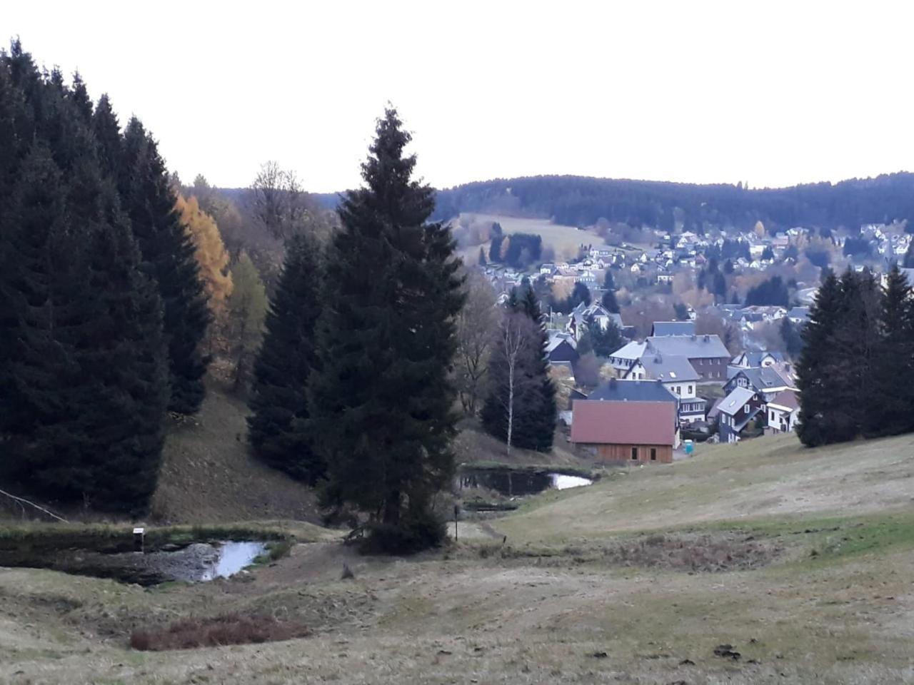 Pension Waldidyll Stützerbach 외부 사진